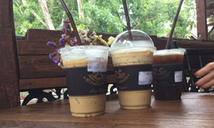 จิบกาแฟ บรรยากาศเมืองเหนือ ที่สวนไซทอง จ.แพร่