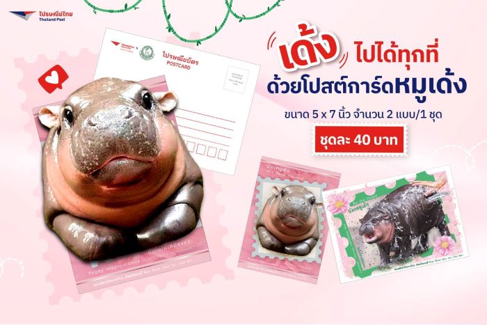 เปิดประสบการณ์ "แฟนด้อม" จากไปรษณีย์ไทย การสร้างแบรนด์เลิฟ และไลฟ์สไตล์แบรนด์  ด้วยกลยุทธ์มัดใจที่ทำให้ผู้ใช้บริการประทับใจ และรักทุกเซอร์วิสของไปรษณีย์ไทย